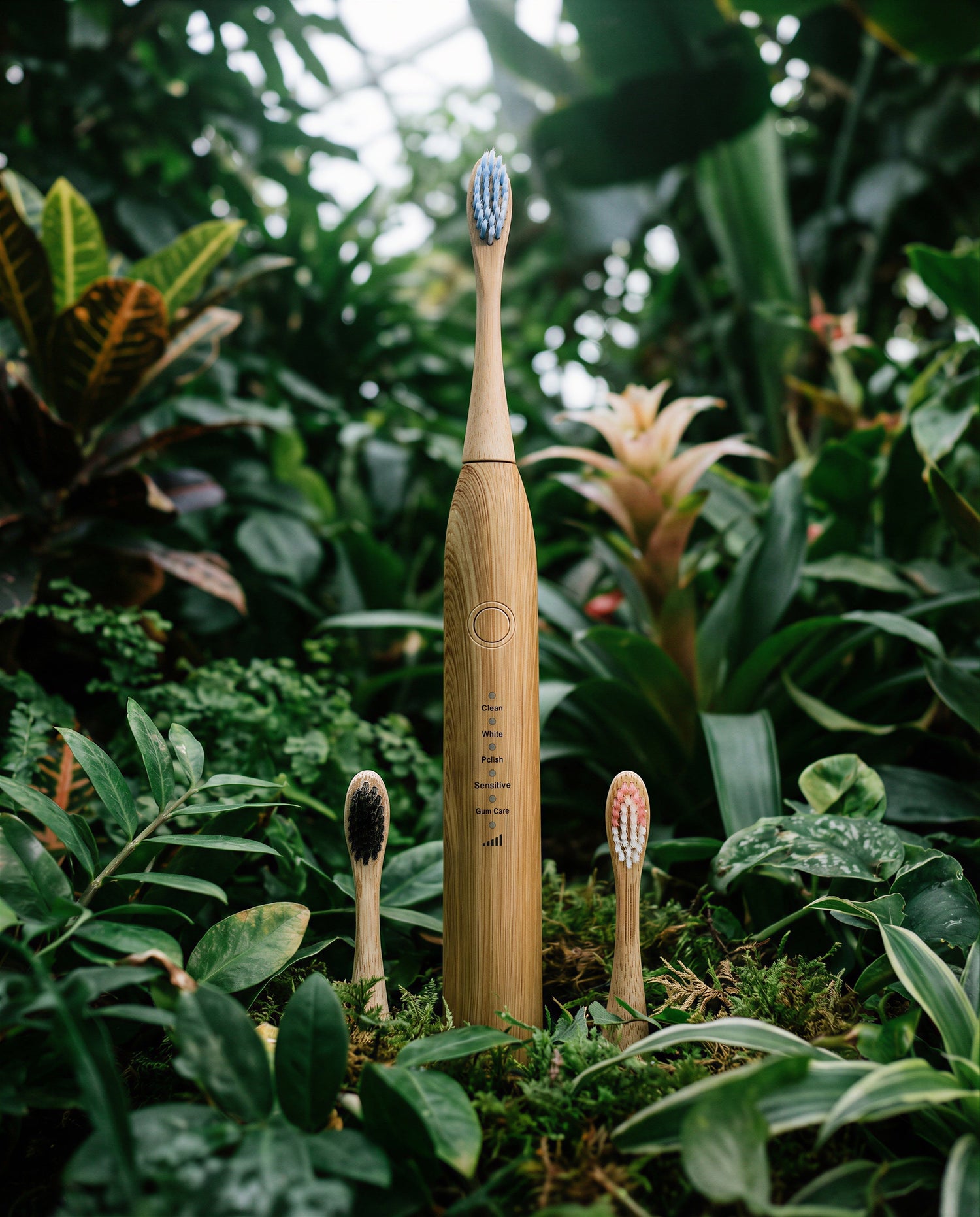 bamboo electric toothbrush in natural setting