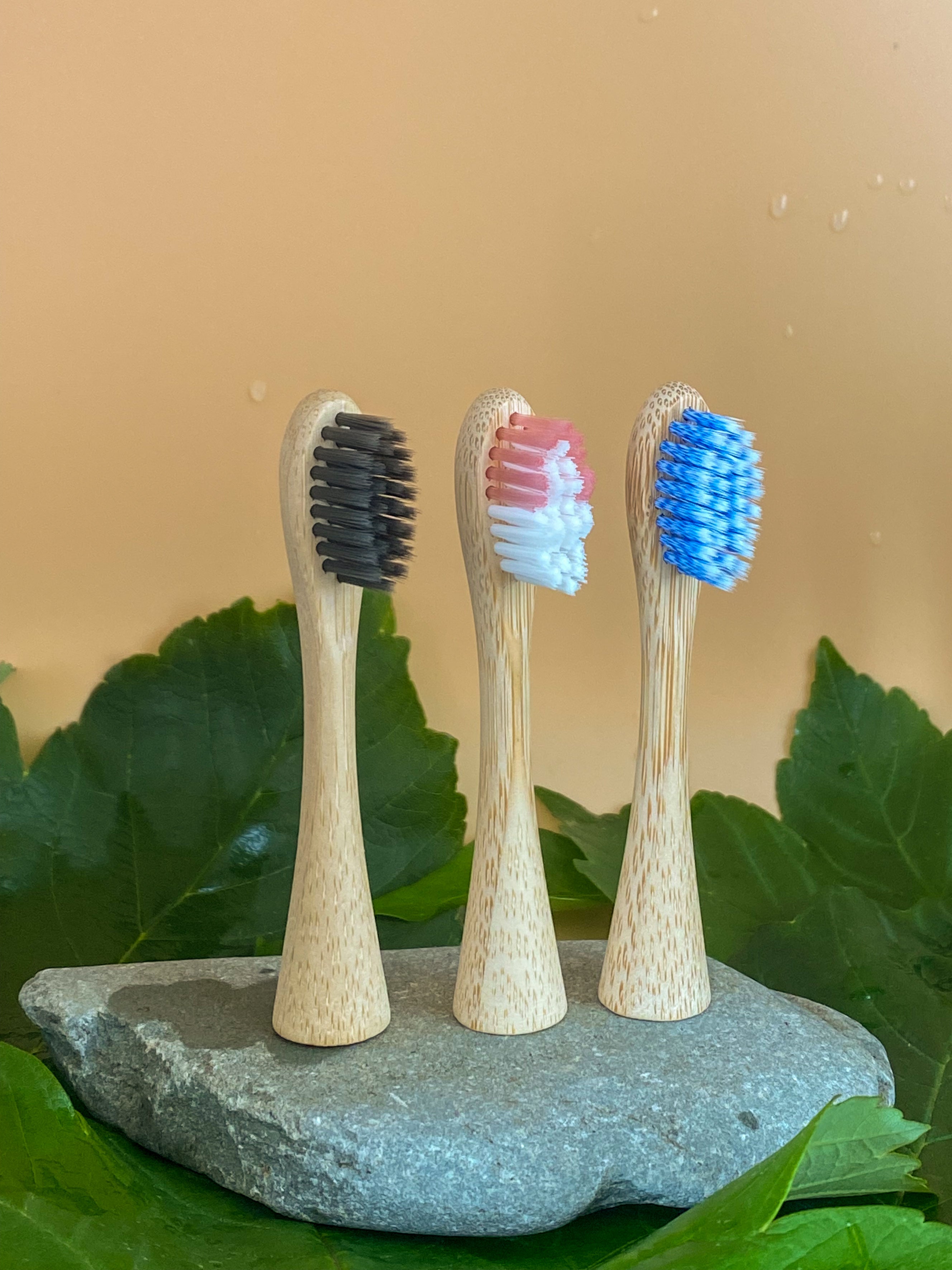 Bamboo Electric Toothbrush